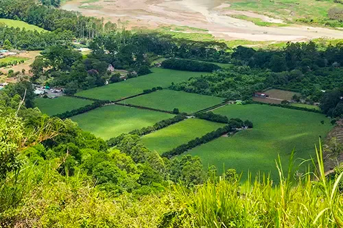 terrain